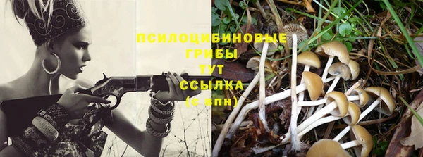 ALPHA-PVP Бородино