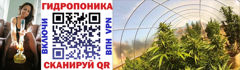 kraken маркетплейс  darknet Telegram  Канабис LSD WEED  Калининград 